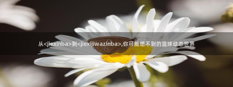 从<jiexinba>到<jiexijiwazinba>,你可能想不到的篮球动态