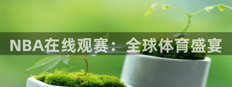NBA在线观赛：全球体育盛宴