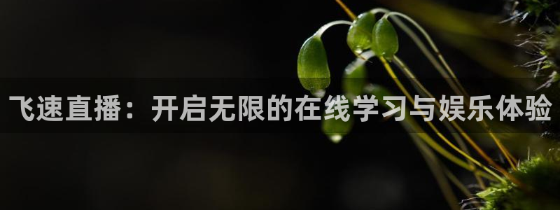 飞速直播：开启无限的在线学习与娱乐体验