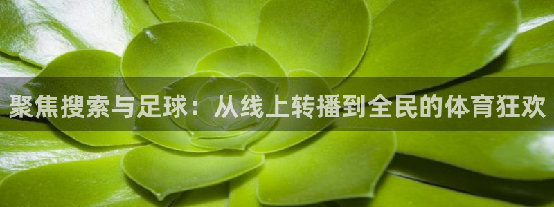 聚焦搜索与足球：从线上转播到全民的体育狂欢