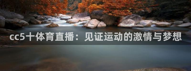cc5十体育直播：见证运动的激情与梦想