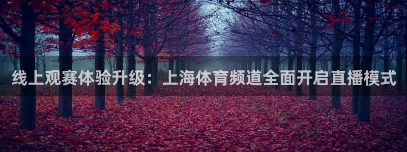 线上观赛体验升级：上海体育频道全面开启直播模式