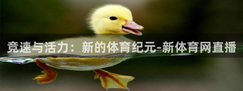 竞速与活力：新的体育纪元-新体育网直播