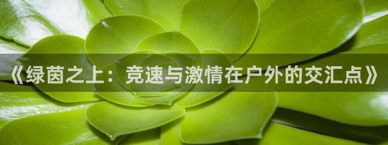 《绿茵之上：竞速与激情在户外的交汇点》