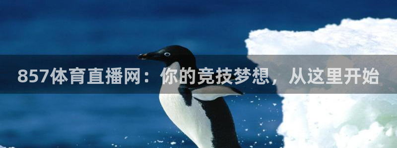 857体育直播网：你的竞技梦想，从这里开始