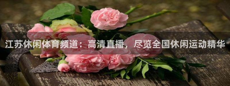 2014年世界杯预选赛：江苏休闲体育频道：高清直播，尽览全国休闲运动精华