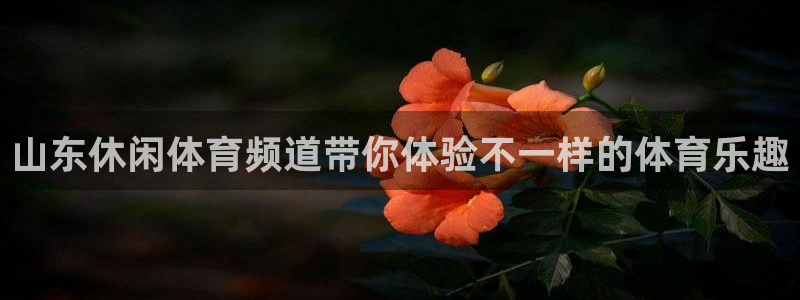 2002年的足球世界杯：山东休闲体育频道带你体验不一样的体育乐趣