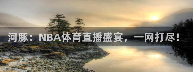 世界杯直播谈判最新进展：河豚：NBA体育直播盛宴，一网打尽！