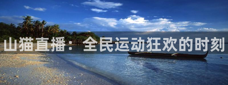 06世界杯决赛集锦：山猫直播：全民运动狂欢的时刻